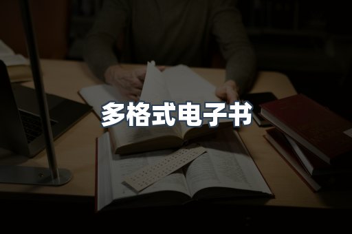 多格式电子书